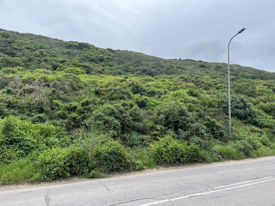 0 Bedroom Property for Sale in Amsterdamhoek Eastern Cape